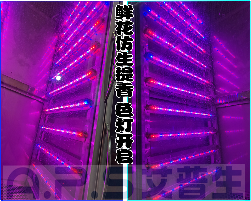 12、植物鮮花低溫萃取精華液專用設(shè)備=鮮花提香色燈開(kāi)啟.jpg