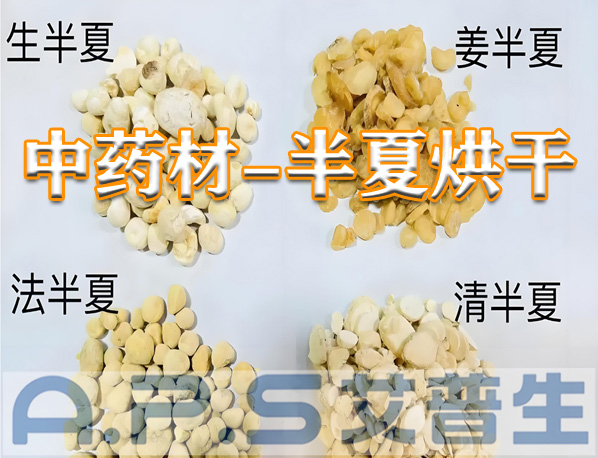 艾普生環(huán)境科技：半夏的烘干方法有哪些？哪一種烘干效果更好？